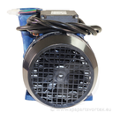 Aqua-Flo by Gecko XP2 2HP 1 speed (2x2)