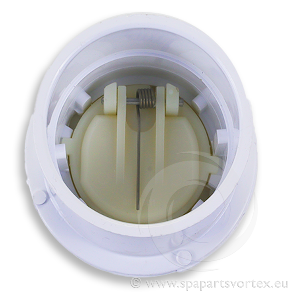 2" Flapper Check Valve 1.25-2lbs. Spring