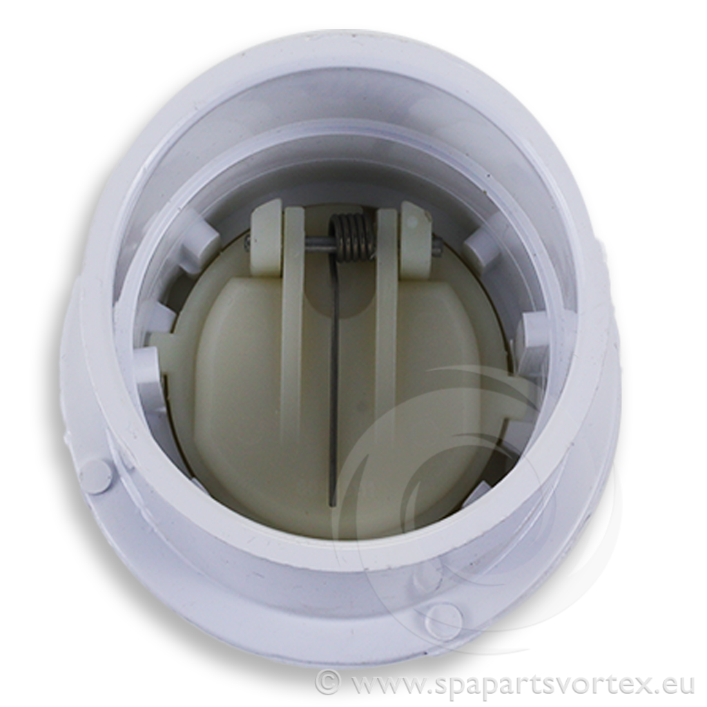 2" Flapper Check Valve 1.25-2lbs. Spring