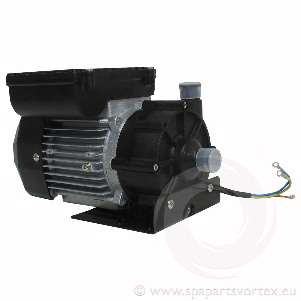 LX WE10 Pump