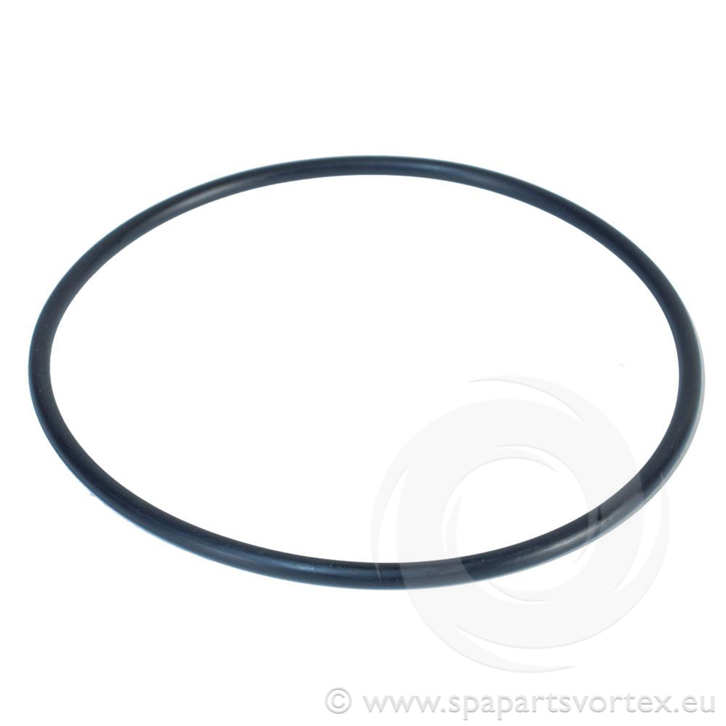 Waterway O-Ring for Filter Lid
