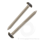 Screw for Earth Spas Skirtings Generation 2
